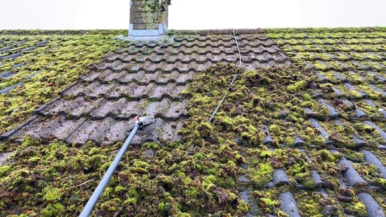 468408521 3751168431790874 7616962092273010181 n