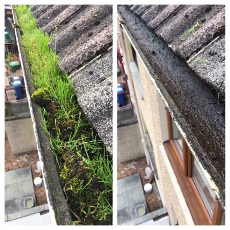 70842391 2349572755283789 4169261218223095808 n